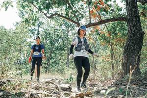 BIB: 
                            <button type="button" onclick="openModal(26103324)" class="btn btn-primary btn-sm float-right btn-popup" data-toggle="modal" data-target=".modal-high-quality">
                        <i class="fas fa-shopping-cart"></i> Add to Cart
                    </button>
                                            <button type="button" onclick="isThisMe(26103324, true)" class="btn btn-success btn-sm float-right btn-popup btn-isme hidden" data-toggle="tooltip" data-placement="bottom" title="นี่คือรูปของคุณใช่ไหม คลิกที่นี่เพื่อเอาเข้าอัลบั้ม">
                        <i class="fas fa-plus"></i> Add to album
                    </button>
                    <button type="button" onclick="isThisMe(26103324, false)" class="btn btn-warning btn-sm float-right btn-popup btn-isnotme hidden">
                        <i class="fas fa-ban"></i> Remove from album
                    </button>